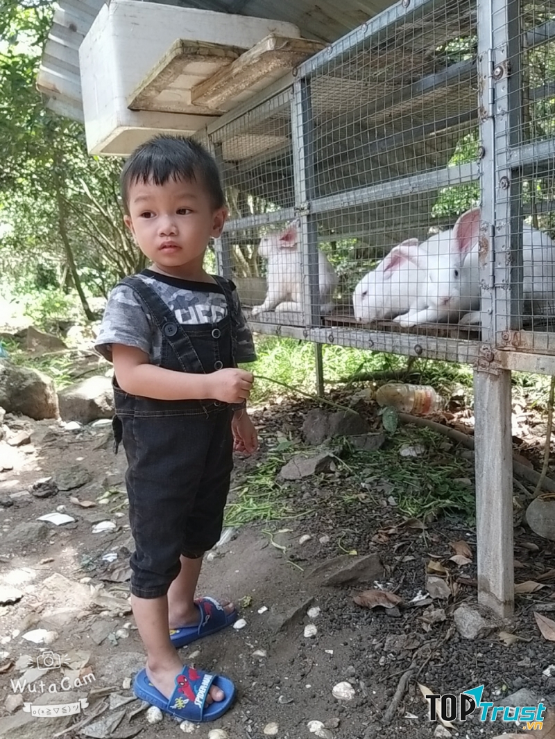 Những đặc sản thịt thỏ tại quán