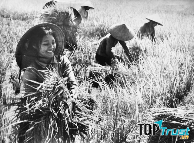 Hình ảnh những người phụ nữ Việt Nam đã in vào lòng mỗi người từ bao đời nay