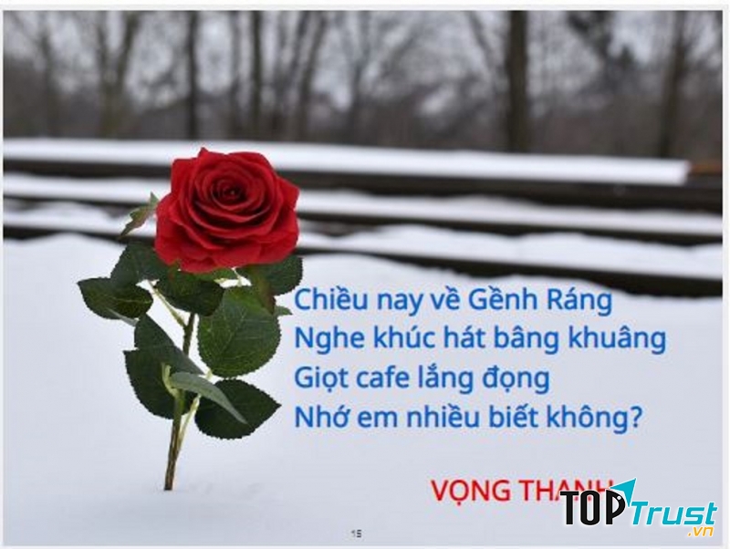 Thơ hay Valentine's day