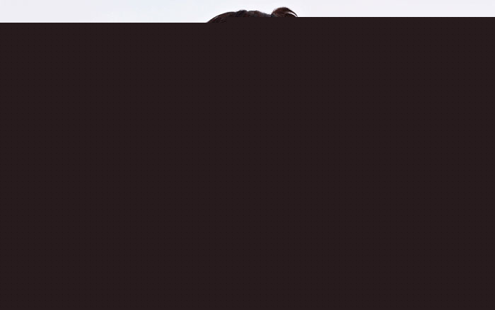 Ảnh minh họa - nguồn internet