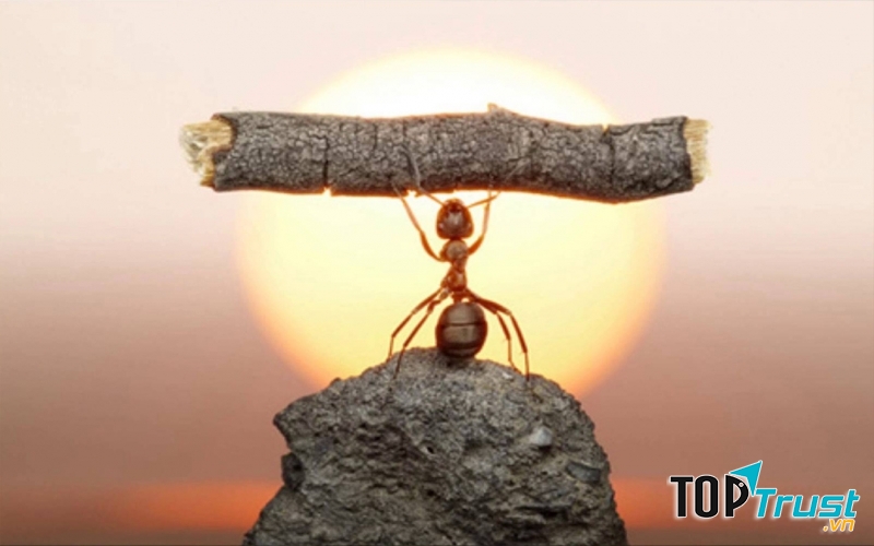 Ai có thể thay ai tự tin?