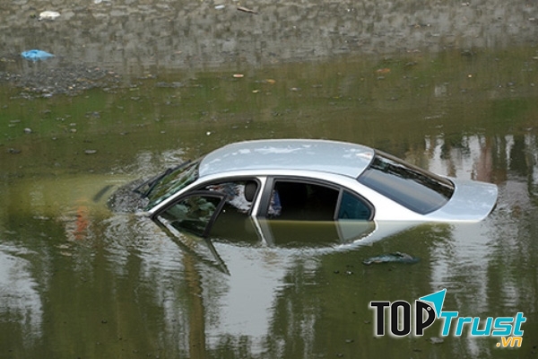 Thoát khỏi xe hơi khi bất ngờ lao xuống sông