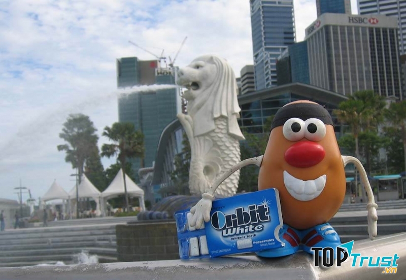 Bạn cũng nên học tập thói quen của người Singapore nhé