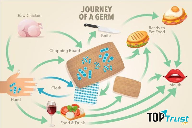 Thớt chứa lượng phân trung bình gấp 200 lần so với ghế vệ sinh.