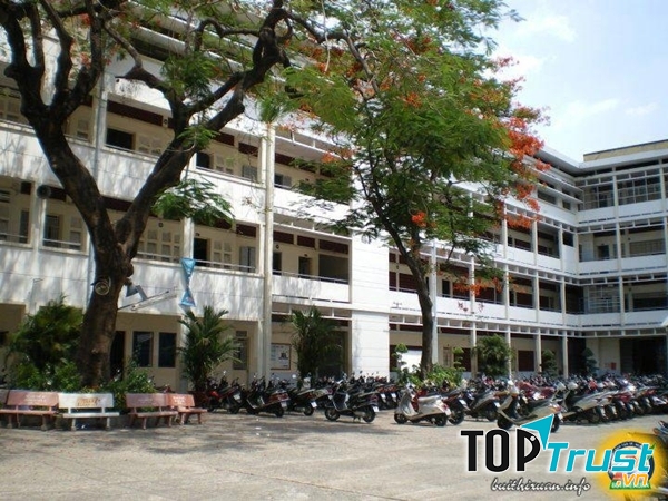 Cảnh trường