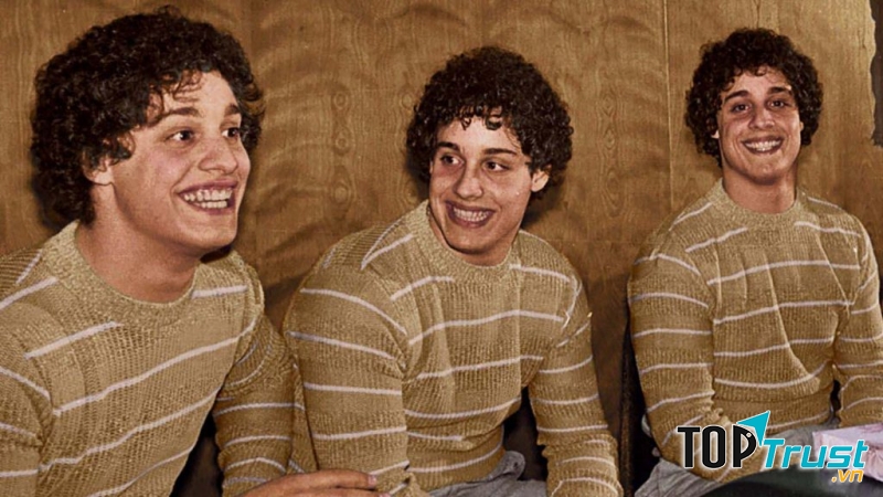 Three Identical Strangers