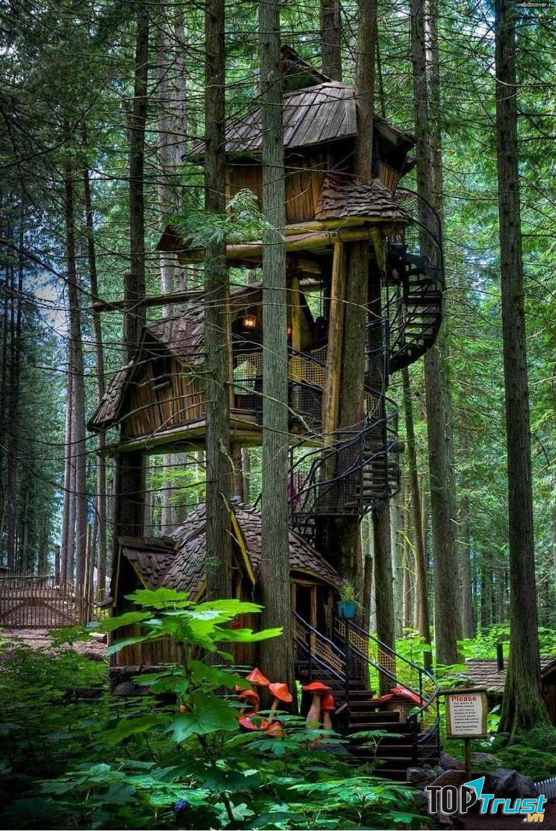 Three Story Treehouse