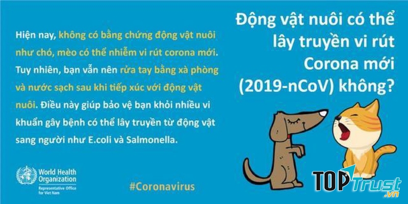 Thú cưng (chó, mèo) không có khả năng lây nhiễm Virus Corona gây bệnh viêm phổi cấp tính cho người. (Ảnh minh họa)