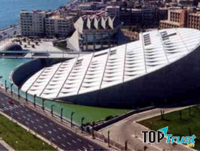 Thư viện Bibliotheca Alexandrina, Ai Cập