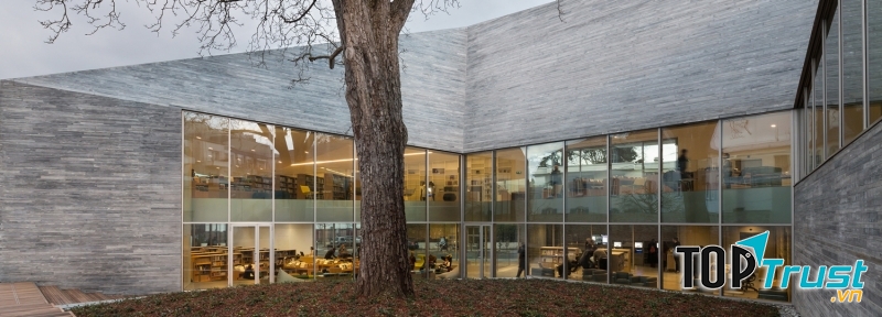 Góc từ từ sân của thư viện