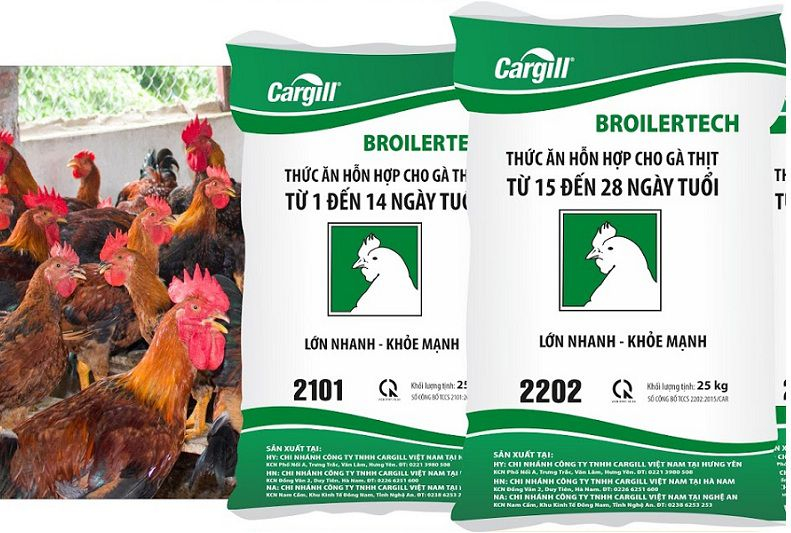 Thức ăn cho gà Cargill