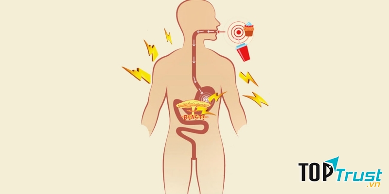 Thúc đẩy quá trình chuyển hoá