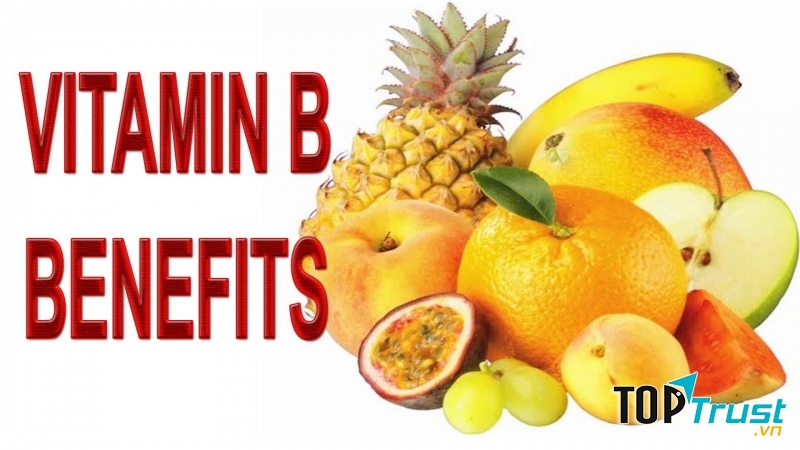 Vitamin B2 có trong tất cả các tế bào sống, các loại thực phẩm ta dùng hằng ngày như: ngũ cốc, rau xanh, đậu các loại, thịt, trứng, sữa, tim, thận, gan, lách