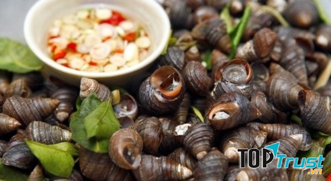 Món ăn từ ốc