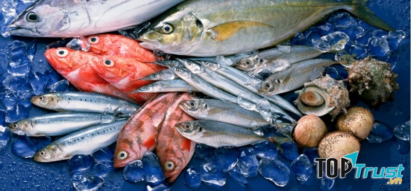 Các loại cá nước ngọt