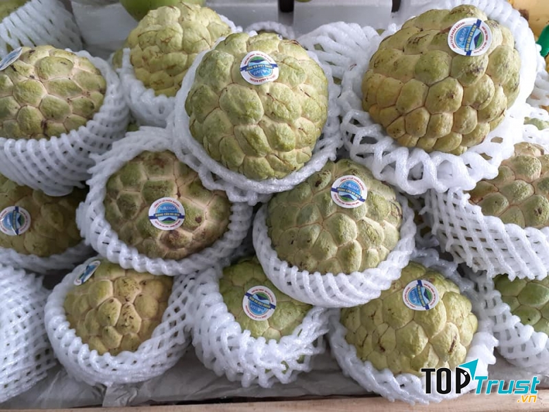 Thực Phẩm Sạch Greentech