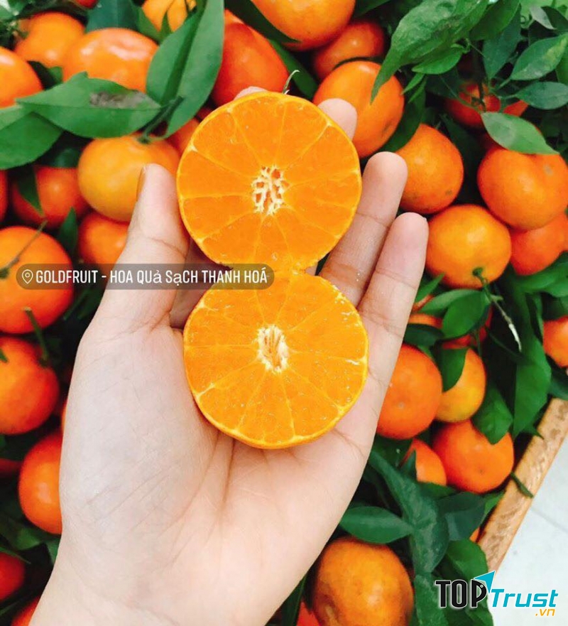 Thực phẩm sạch nhập khẩu Food Home