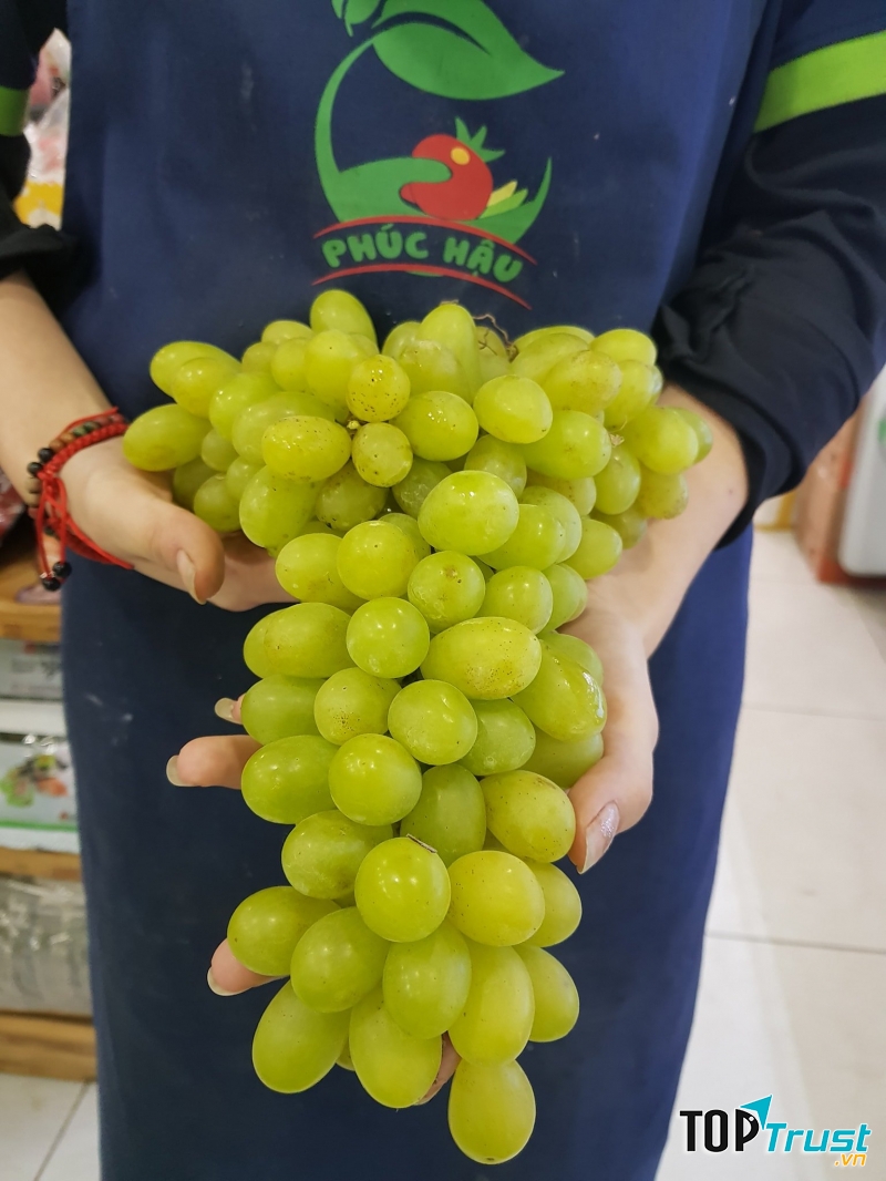 Nho xanh của Thực Phẩm Sạch Phúc Hậu.