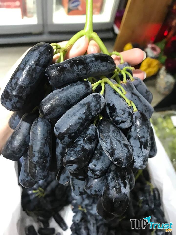 Thực Phẩm Sạch Quỳnh Thj