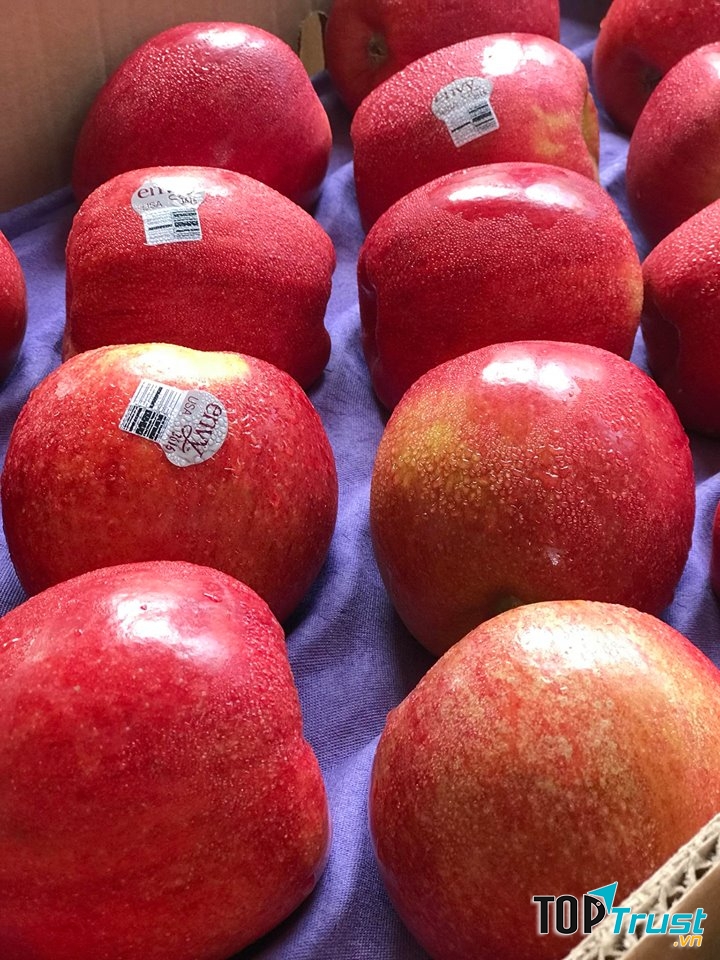 Thực Phẩm Sạch Quỳnh Thj