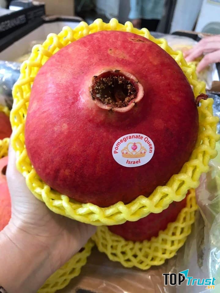 Thực Phẩm Sạch Tâm Giao