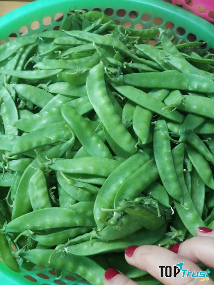 Thực Phẩm Sạch Tâm Giao