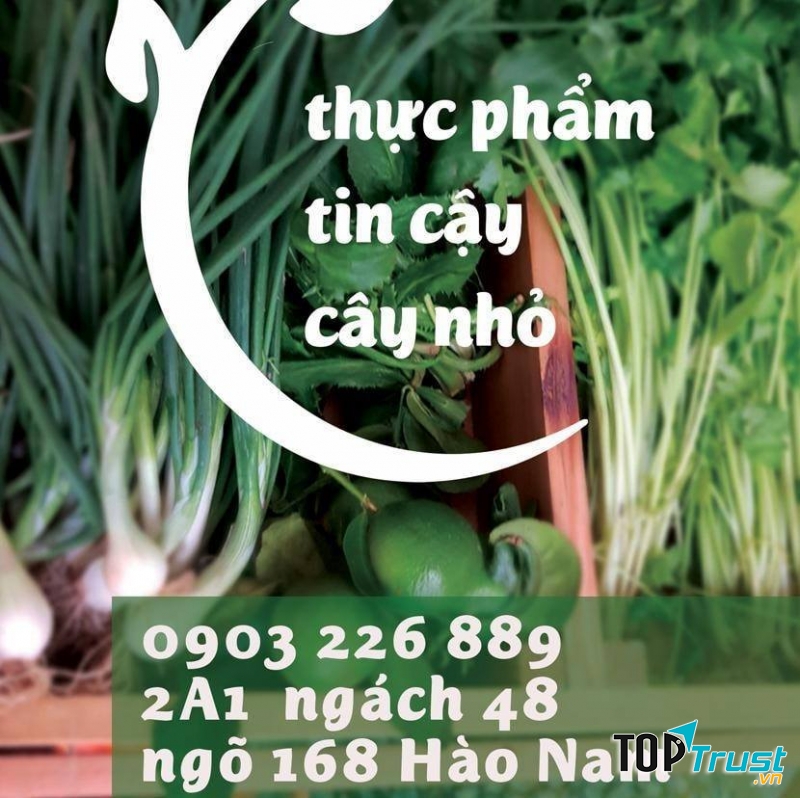 Thực phẩm tin cậy Cây nhỏ.