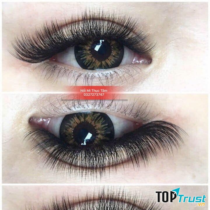 Thục Tâm Nối Mi