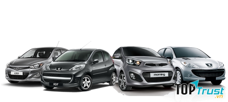 Công ty TNHH ĐT DV Vận tải & Du lịch Netviet