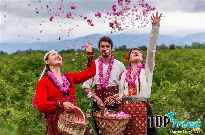 Thung lũng hoa hồng Bungari