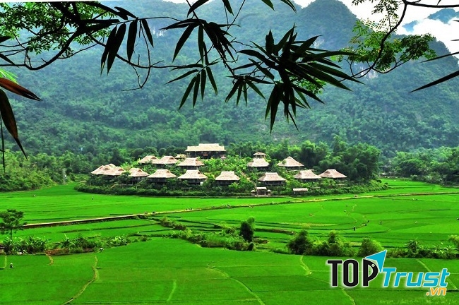 Thung lũng Mai Châu