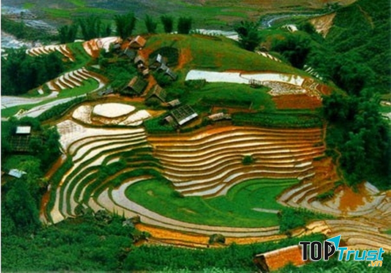 Thung lũng Mai Châu vào vụ cấy