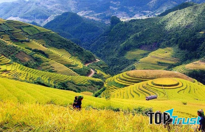 Thung lũng mường hoa qua góc nhìn từ trên cao