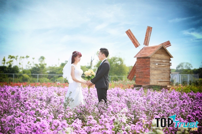 Mê mẩn” với không gian lãng mạn khi chụp ảnh cưới tại Thung lũng Tình Yêu