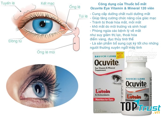 Thuốc bổ mắt Ocuvite Eye Vitamin & Mineral with Lutein hỗ trợ lọc ánh sáng xanh có hại cho mắt, giảm thiểu tác động của môi trường đến mắt.