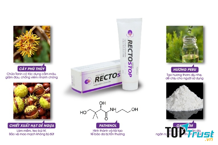 Thuốc trĩ Rectostop