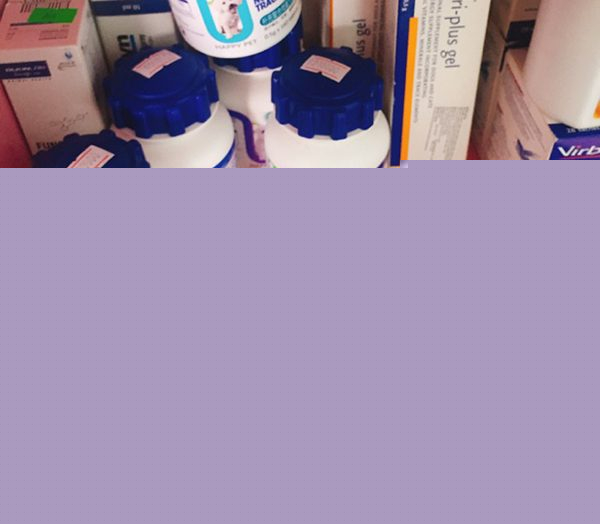 Thuốc tẩy giun chó Sanpet