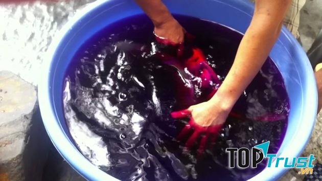 Thuốc tím và chanh