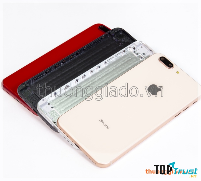 Các loại vỏ IP tại thuonggiado