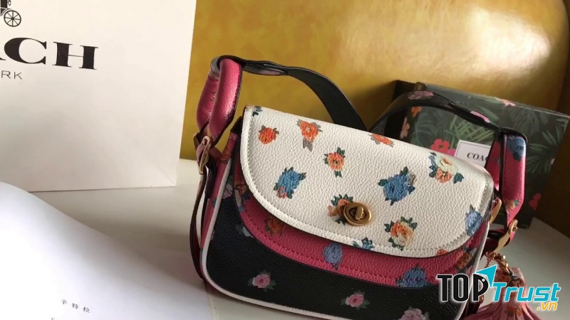 Túi xách Coach