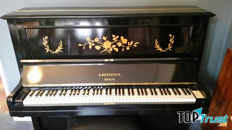 Thương hiệu đàn Piano Bechstein thời thượng.