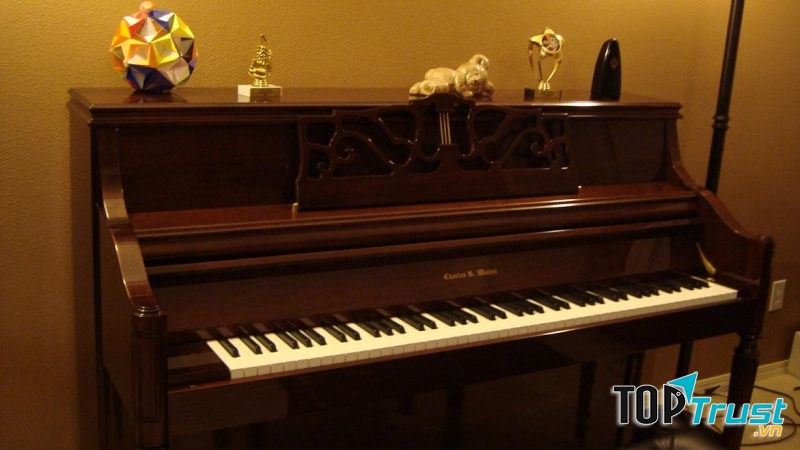 Sự tráng lệ của hãng đàn Charles R.Walter.