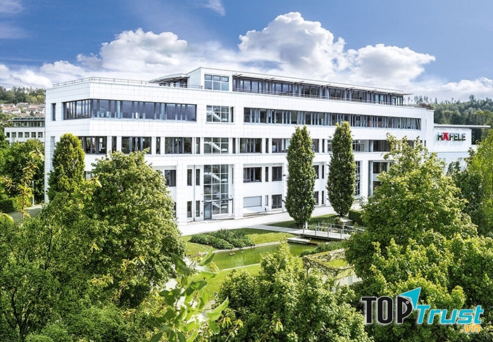 Cơ sở của HAFLE