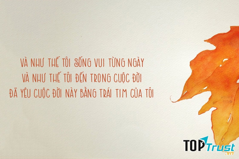 Thưởng thức niềm vui và điều kỳ diệu thoáng qua trong cuộc sống