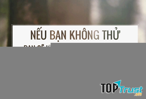 Ảnh minh họa (Nguồn Internet)
