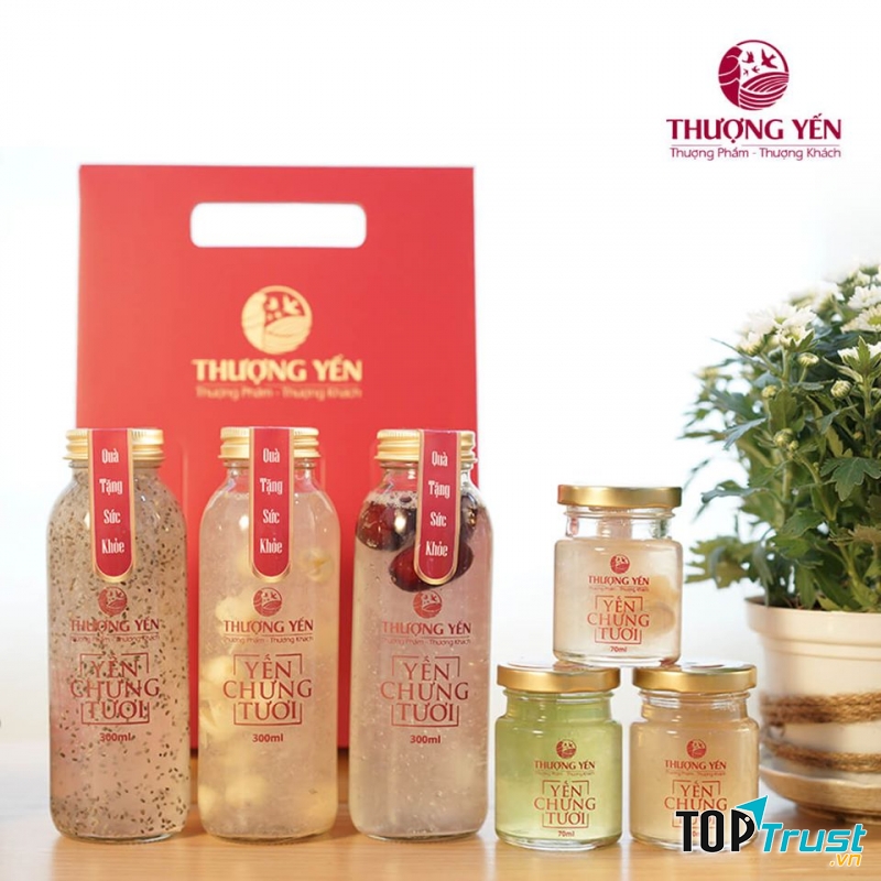 Thượng Yến - Yến Chưng Tươi