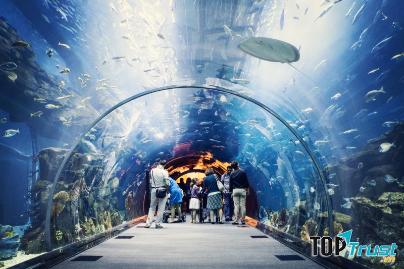 Thủy cung Dubai Mall (Dubai)