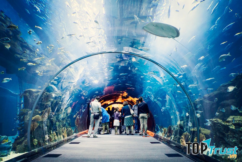 Bên trong thủy cung L'Oceanografic,