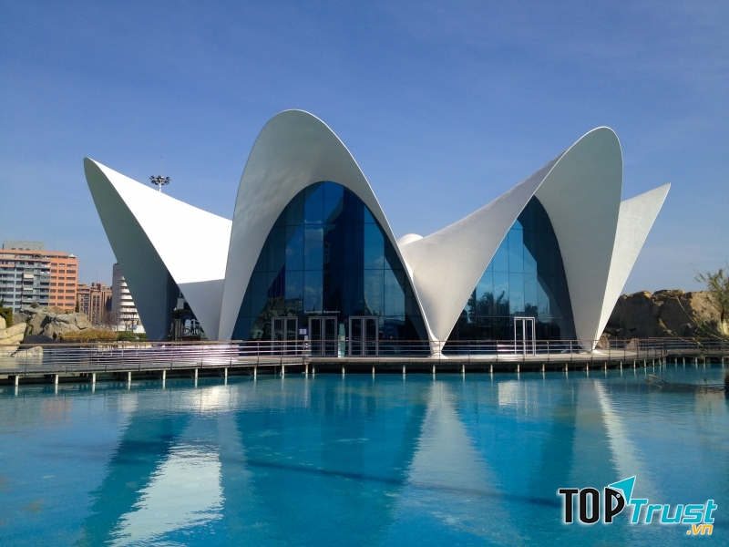 Thủy cung L’Oceanographic (Tây Ban Nha)