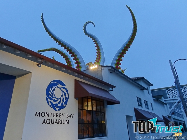 Thủy cung Monterey Bay